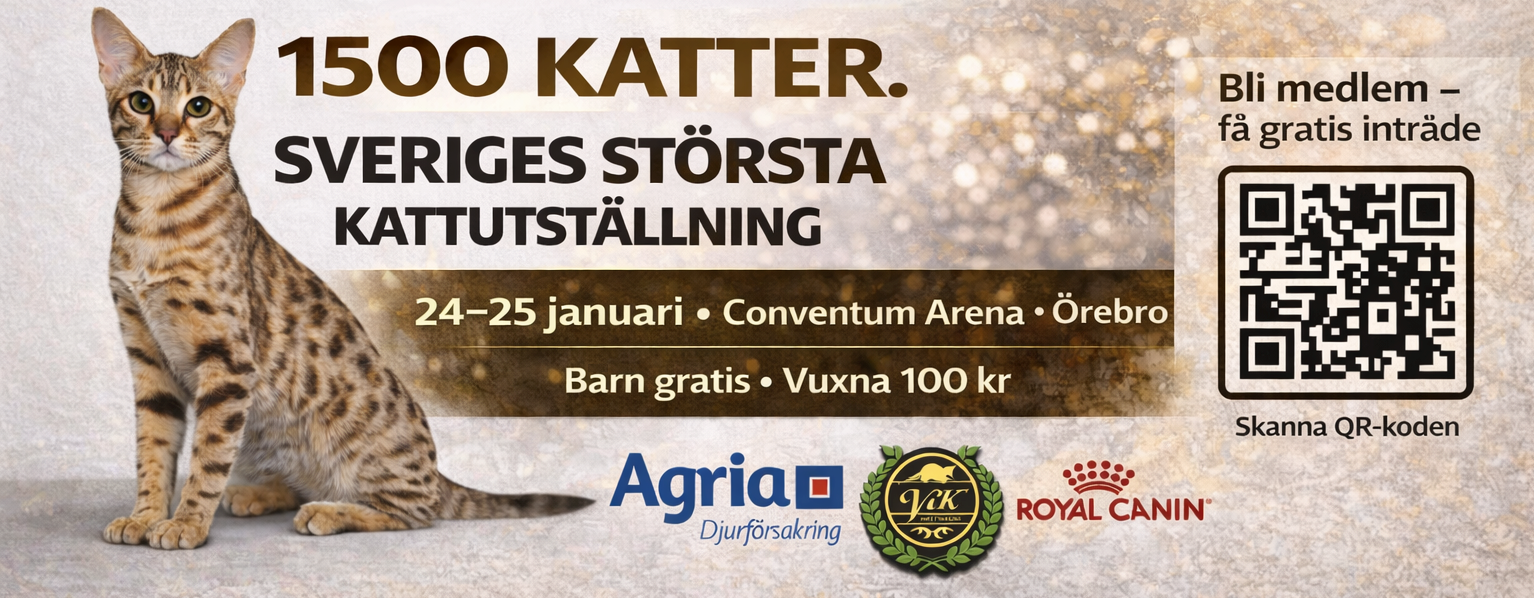 Sveriges störts kattutställning 